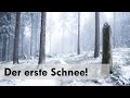 Der erste Schnee und Tierspuren
