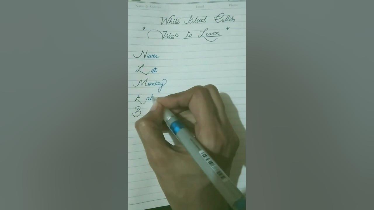 trick-to-learn-white-blood-cells-in-cursive-handwriting-easy-cursive