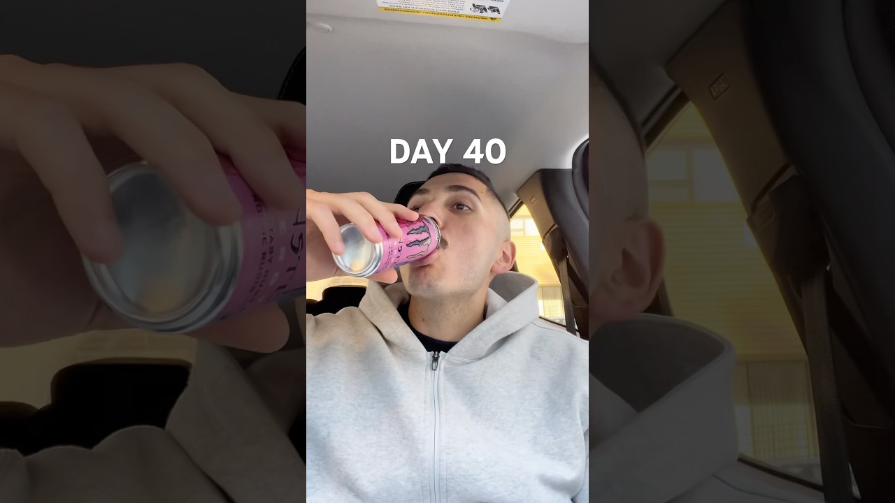 Day 40 