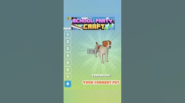 school party craft vs Minecraft