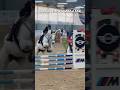Gara a TEMPO 🚀 vs Gara a FASI 🧠: Tu quale preferisci? #shorts #equestrian #equitazione