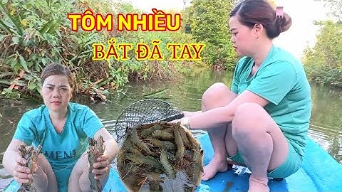 Tới Con Nước Cùng Vợ Chồng Mình Đi Thăm Lú Bắt Tôm Cua Kiếm Tiền Ăn Tết - Sông Nước Cà Mau.