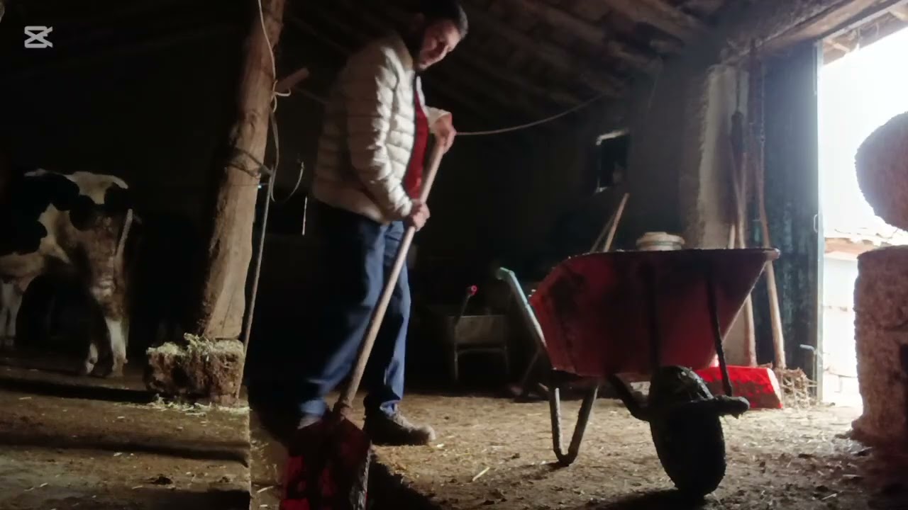 SOSYAL MEDYADA DÖNEN YALANLAR/TEK BAŞINA HAYVANCILIK YAPILIR MI?/HAYVANCILIK PARA KAZANDIRIR MI?