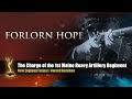 Forlorn hope the story of the 1st maine heavy artillery regiment