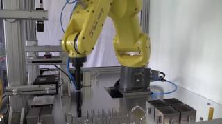 Robot 2D & 3D Inspection Cell Automated Machine Vision