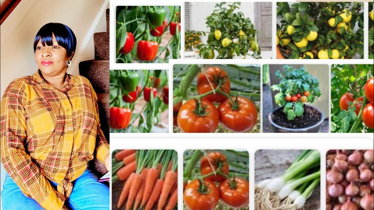 PLANT SHOPPING AT B&Q YouTube