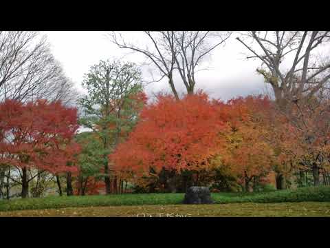 口下手だから/原大輔/Cover北原涼