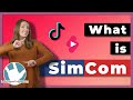 Understanding Simultaneous Communication (SimCom)