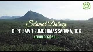 profil PT Citra Borneo indah grup.