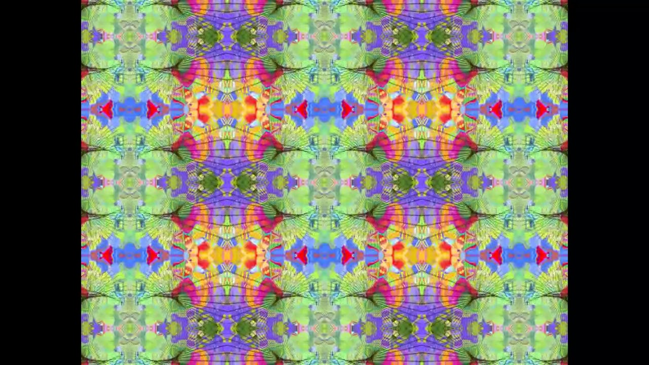 Elless Dee (Drumless Version)