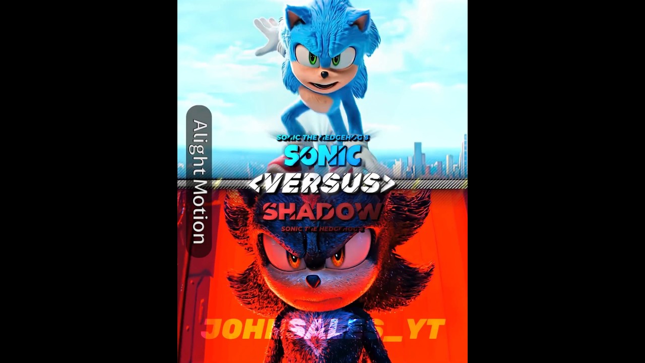 SONIC VS SHADOW 