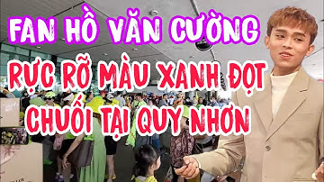 FC Xanh Đọt Chuối Đã Ra Tới Quy Nhơn Dự Show Hồ Văn Cường || PHI HẢI TV