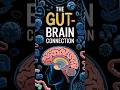 The Gut-Brain Connection