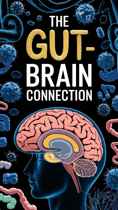 Download lagu The Gut-Brain Connection