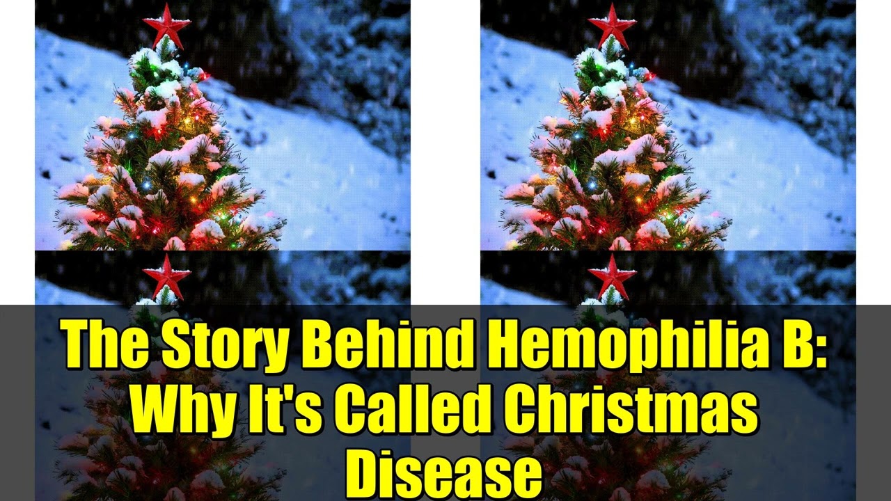 История гемофилии B: почему её называют «рождественской болезнью»