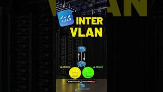 Network Configurations!! | INTER-VLAN!!!