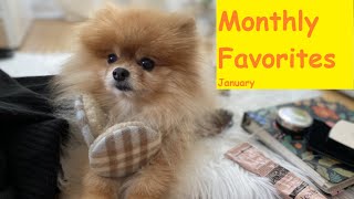 Monthly Favorites-January