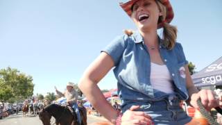 Katie Hill - Dawn Of The Tracker