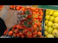 ال جزء الثاني من جولة في السوبر ماركت الامارات منة يحي