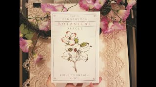 Oracle Card Daily Weed Weds May 15, 2019, Tarot and Oracle Reading