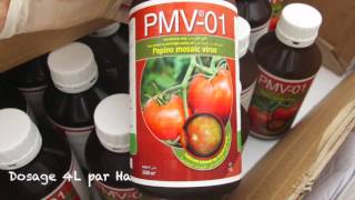 Pmv-01 Dites-Non Au Pépino