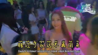 雨中百合 - 你永远不懂我 - Ni Yong Yuan Bu Dong Wo - (Dj文少 Electro Remix 2023) Selamanya Kau Tidak Mengerti Aku