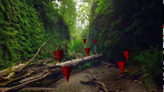 matchmove Cone test