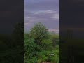 🏞️Mountain View from Chandigarh!#Chandigarh #MountainView #NatureShorts #TravelVibes #citybeautiful