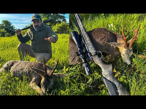 EPIC ROE DEER HUNT: Mountains, Patience & The Perfect Shot!