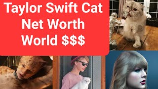 Taylor Swift Cat Net Worth, Name, World's Richest Cat