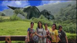 PCS Batch 81 my short music video - Disaster :)