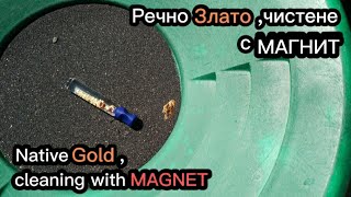 Самородно злато , почистване с магнит на тежките фракции