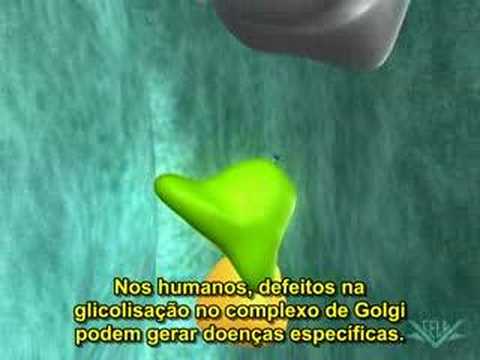 Vídeo: Diferentes Instrumentos De Aceitação Da Evolução Levam A Diferentes Resultados De Pesquisa