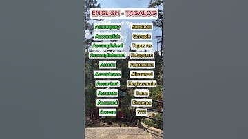 326 English Tagalog Translation #reels #shorts #short #video #shortvideo #youtubeshorts #subscribe