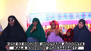 Warbixin Xaalada Agoonta 9 Caruur Ee Laascaanood Iyo Gudiga Taakulaynta