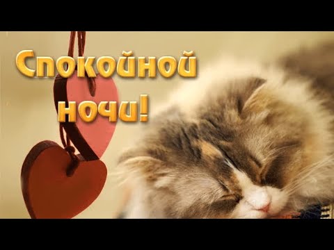 Вот И Вечер...Скоро Спать. Всем Спокойной Ночи И Приятных Снов!