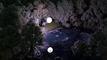 Create Night View Landscape With Cinema4d and Octane Render [Timelapse ] // C4D + Forester + Octane