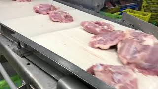 Foodmade Automatic Chicken deskinner DS-102