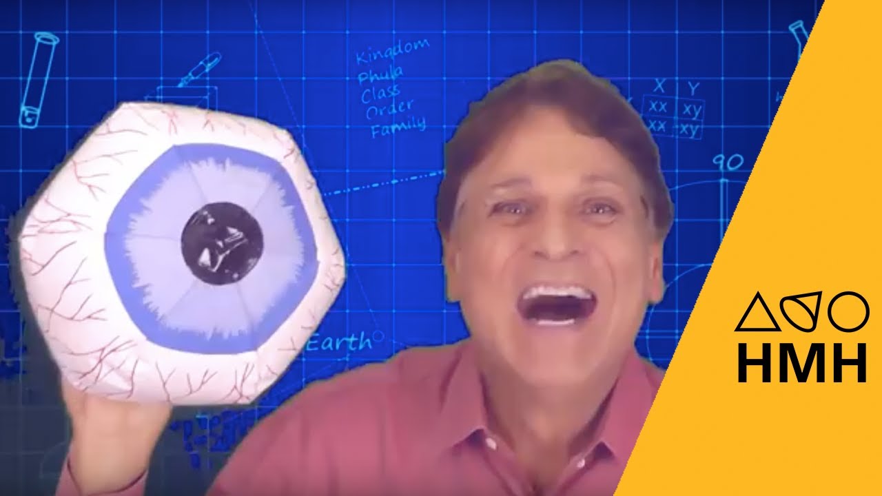 Inverted Images in a Pinhole-Viewer