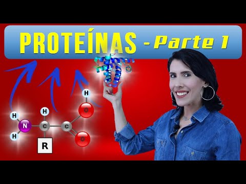 PROTEÍNAS - PARTE 1