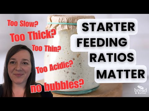 Thick vs Thin Sourdough Starter: Which is better?