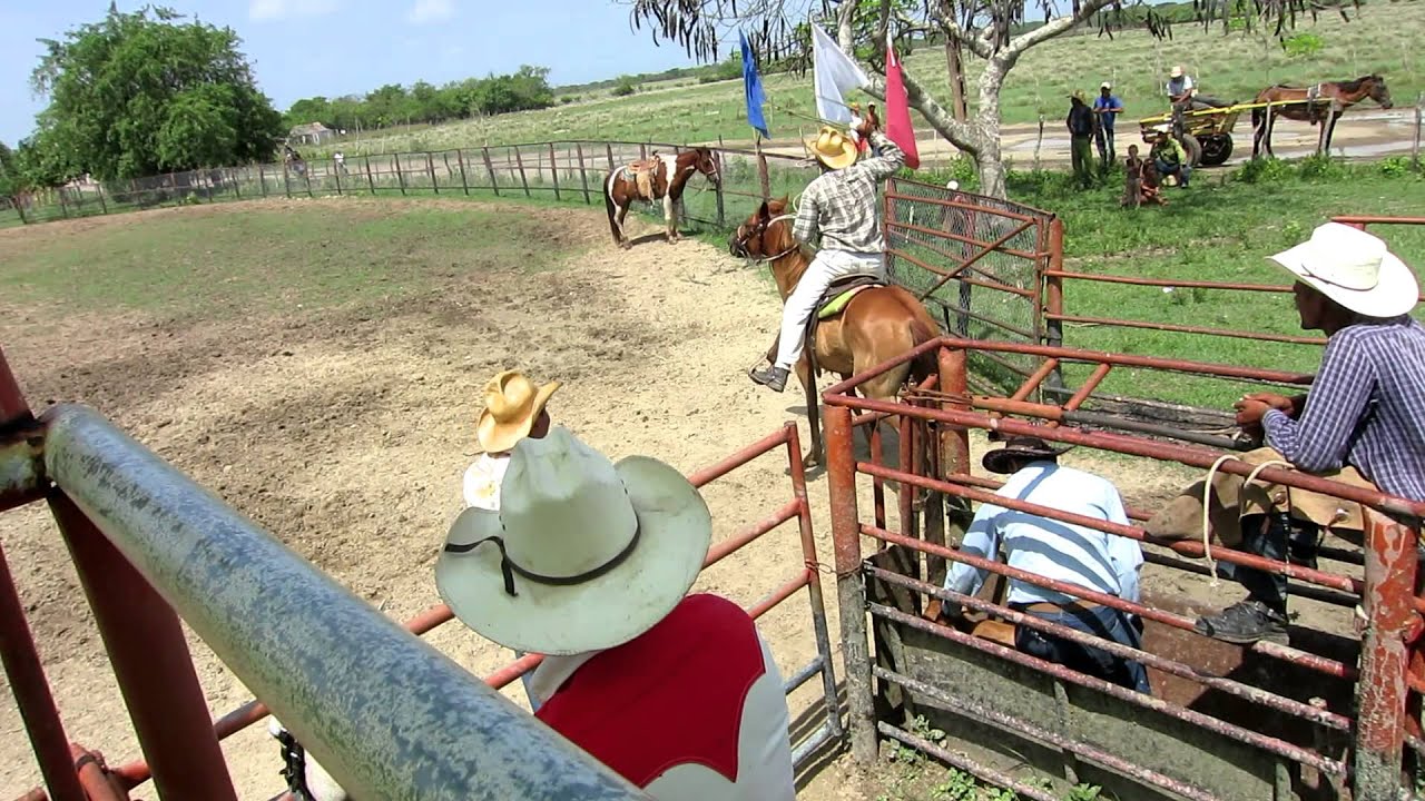 Cuba Rodeo at King Ranch near Camaguey YouTube