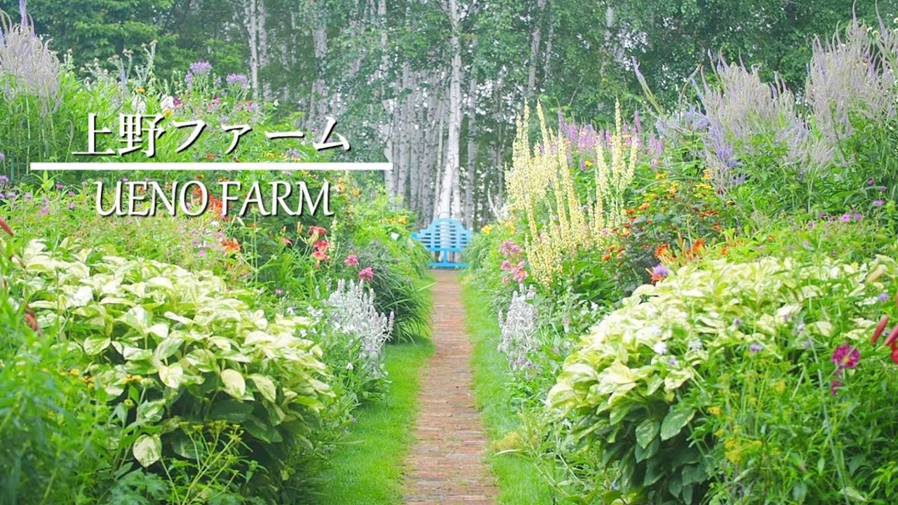 《憧れの上野ファーム》宿根草が咲き誇る自然風庭園❀お知らせ《北海道お庭巡り・前編》
