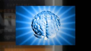 Famous SmartX By Cerebral Success Net Worth