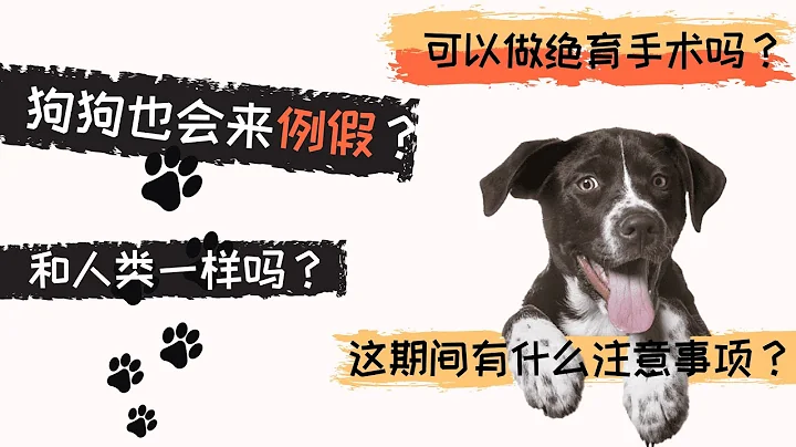 狗狗来例假了？怎么回事了？ - 天天要闻
