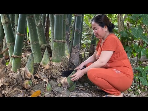Video Măng kho sườn heo, canh mướp nấu với nấm mối #237 -... - youtube