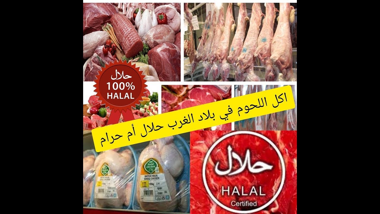 هل صحيح يباع في ايطاليا 🍗🍖اللحم الحلال أم مجرد كذبة ....كله حرام ..... 