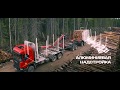 Идеальные решения Scania для тяжелой работы в лесной индустрии