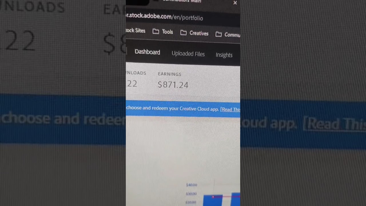 How Much I made this Year on Adobe Stock