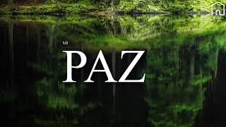 Video thumbnail of "Mi Paz - Letra"